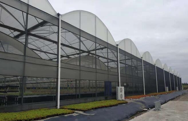 四川溫室大棚 四川溫室大棚